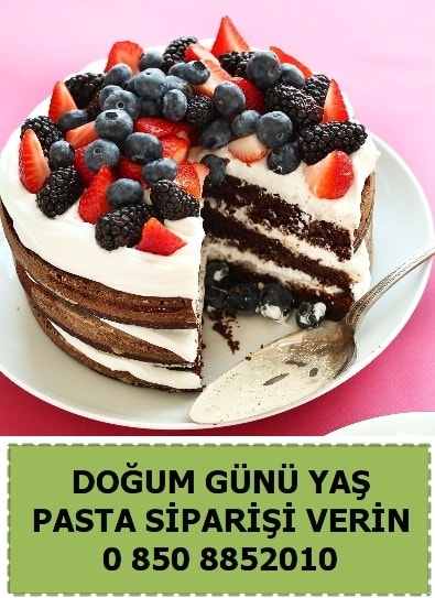 Van Vali Mithat Bey Yeni Mahallesi pasta sat sipari