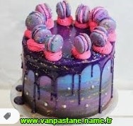 Van Turta Siparii