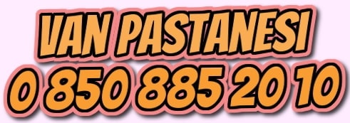 Van Altntepe Mahallesi pastane telefonu pastacalr pastaneler doum gn pastas yolla